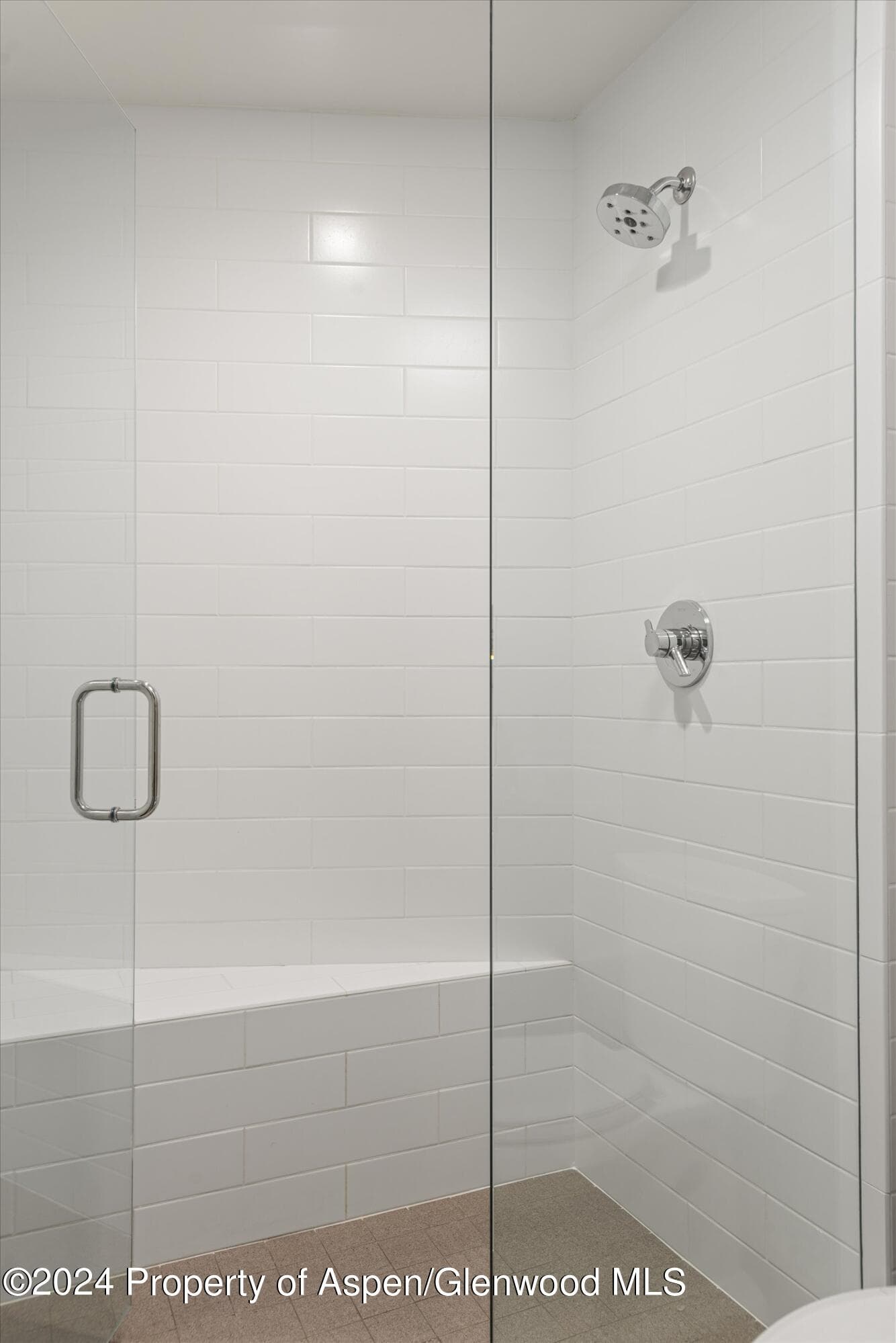 1650 Homestake Drive, Aspen, CO 81611 - Photo 24