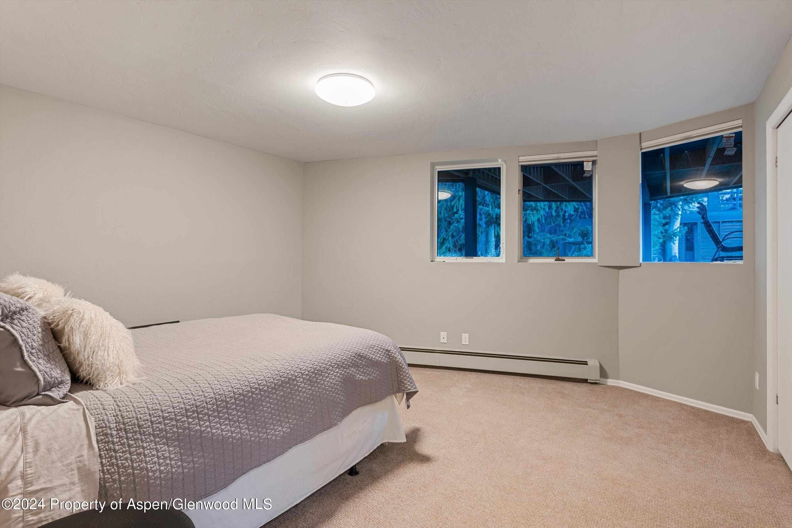 1650 Homestake Drive, Aspen, CO 81611 - Photo 23