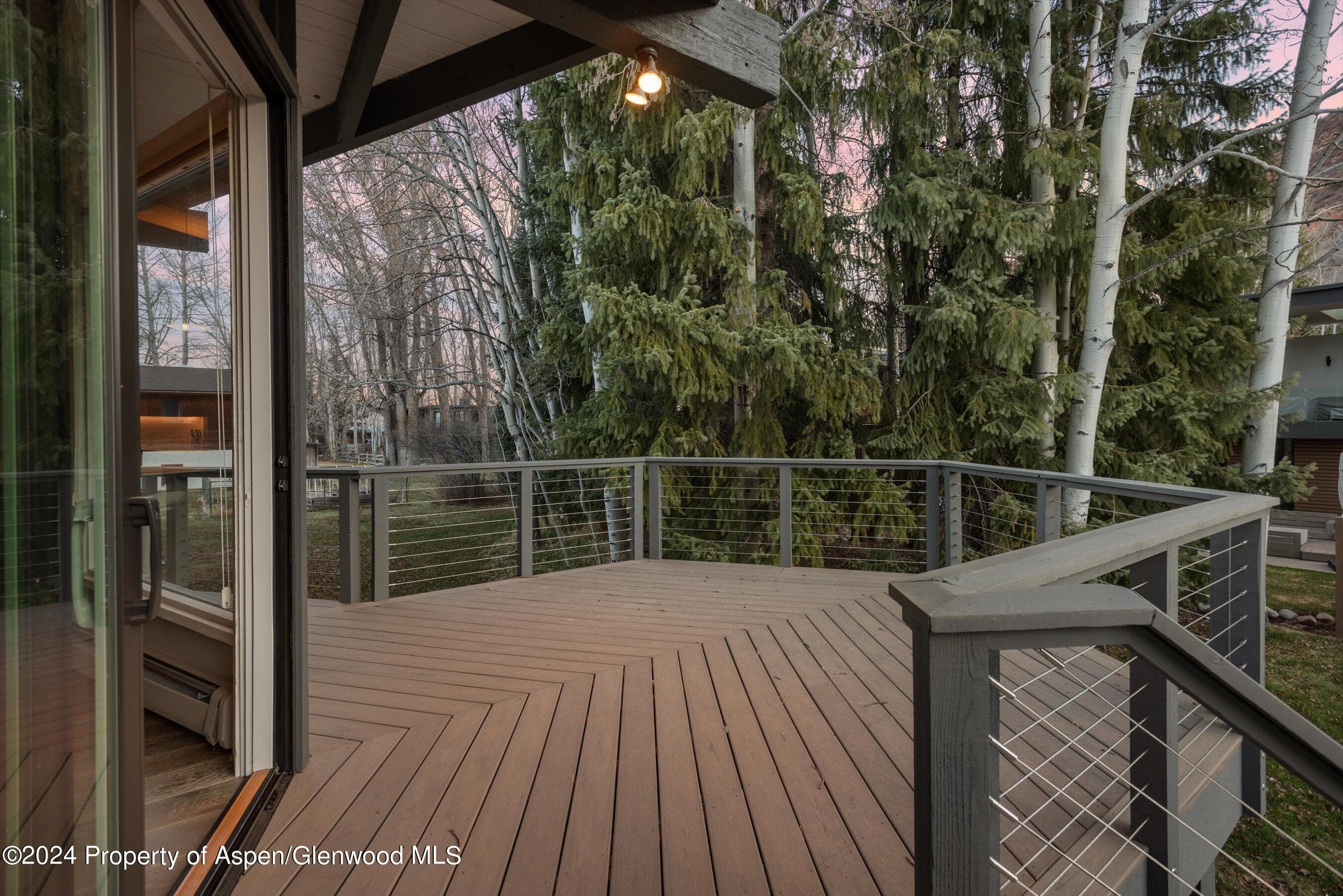 1650 Homestake Drive, Aspen, CO 81611 - Photo 28