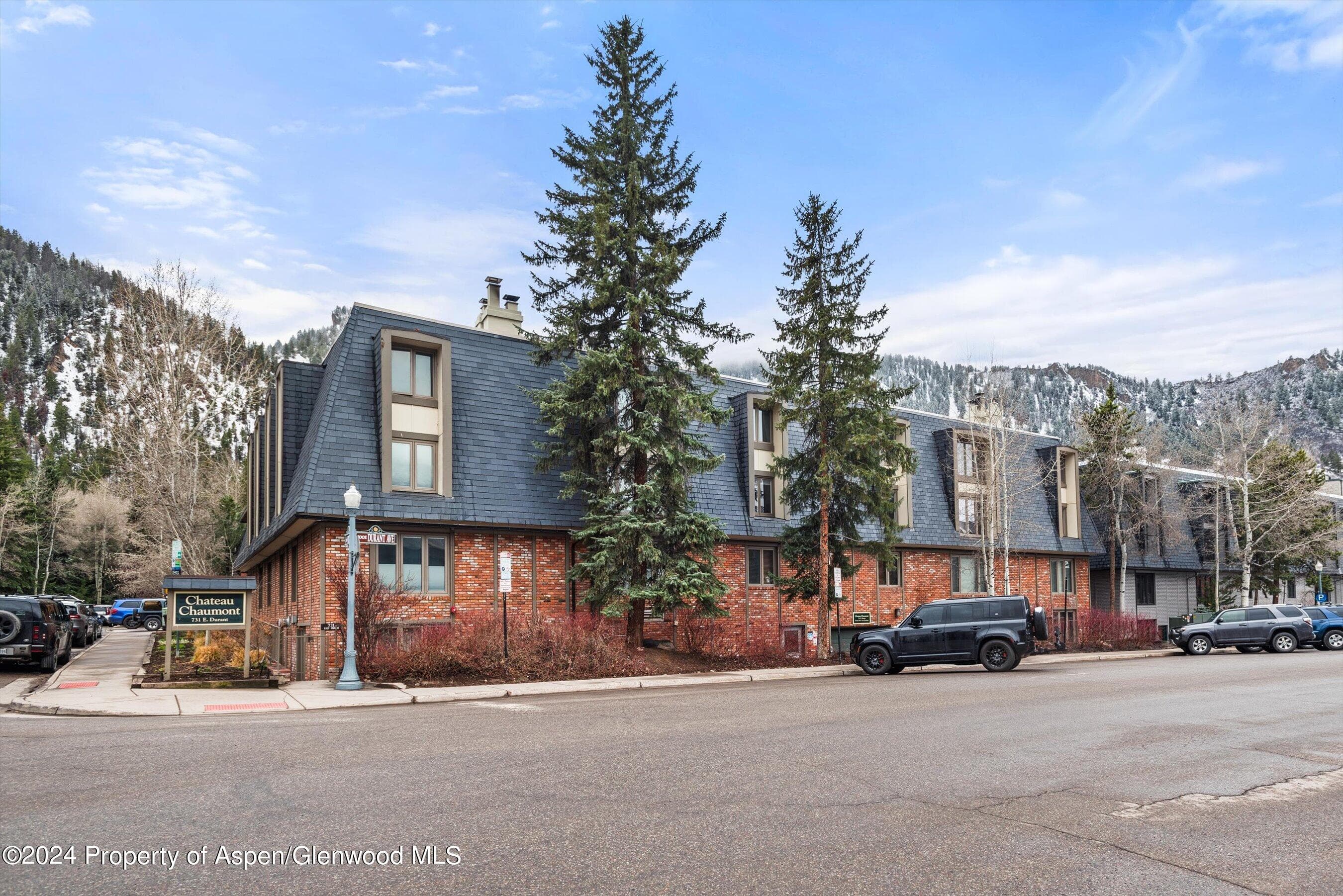 731 E Durant Avenue #18, Aspen, CO 81611 - Photo 15