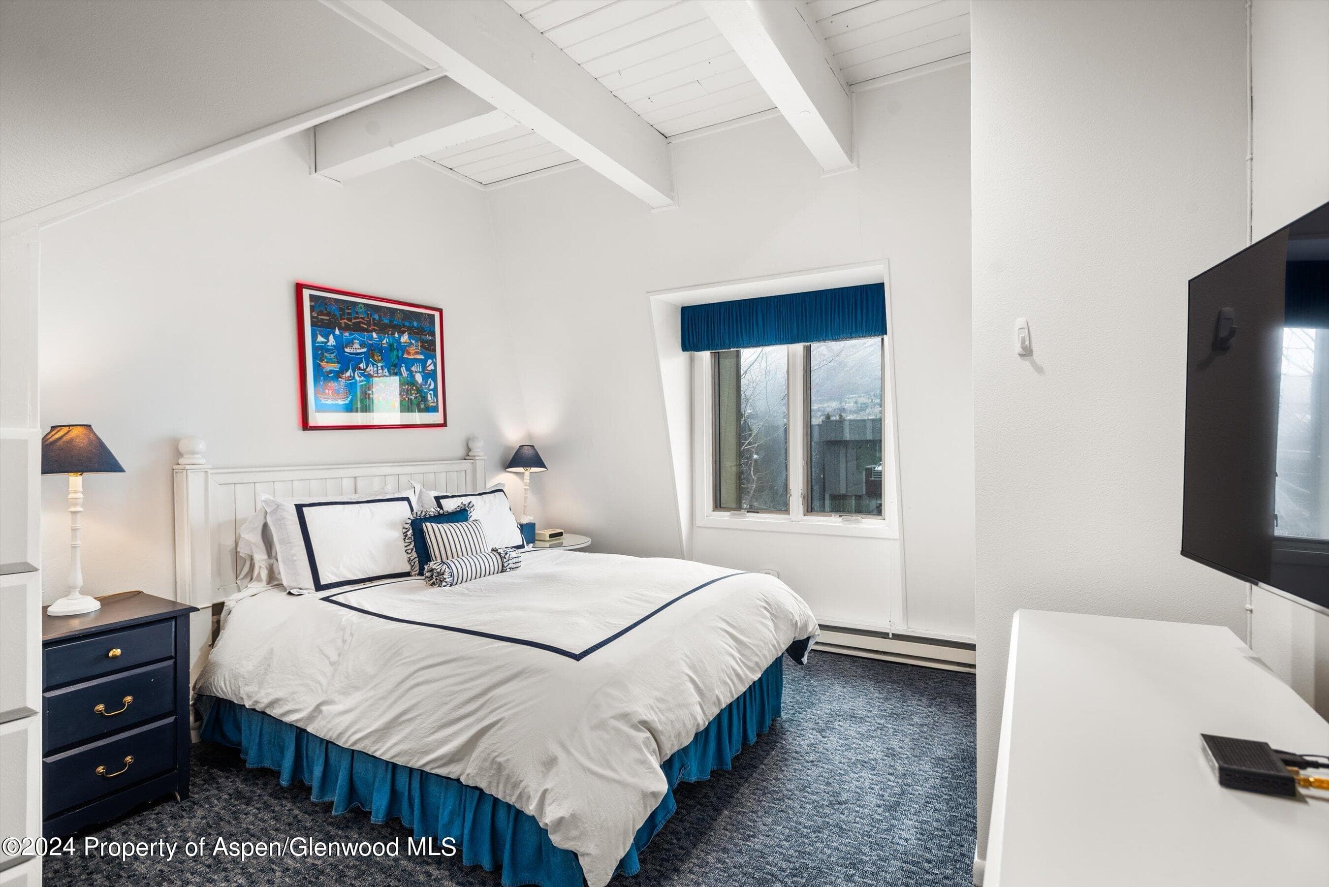 731 E Durant Avenue #18, Aspen, CO 81611 - Photo 11