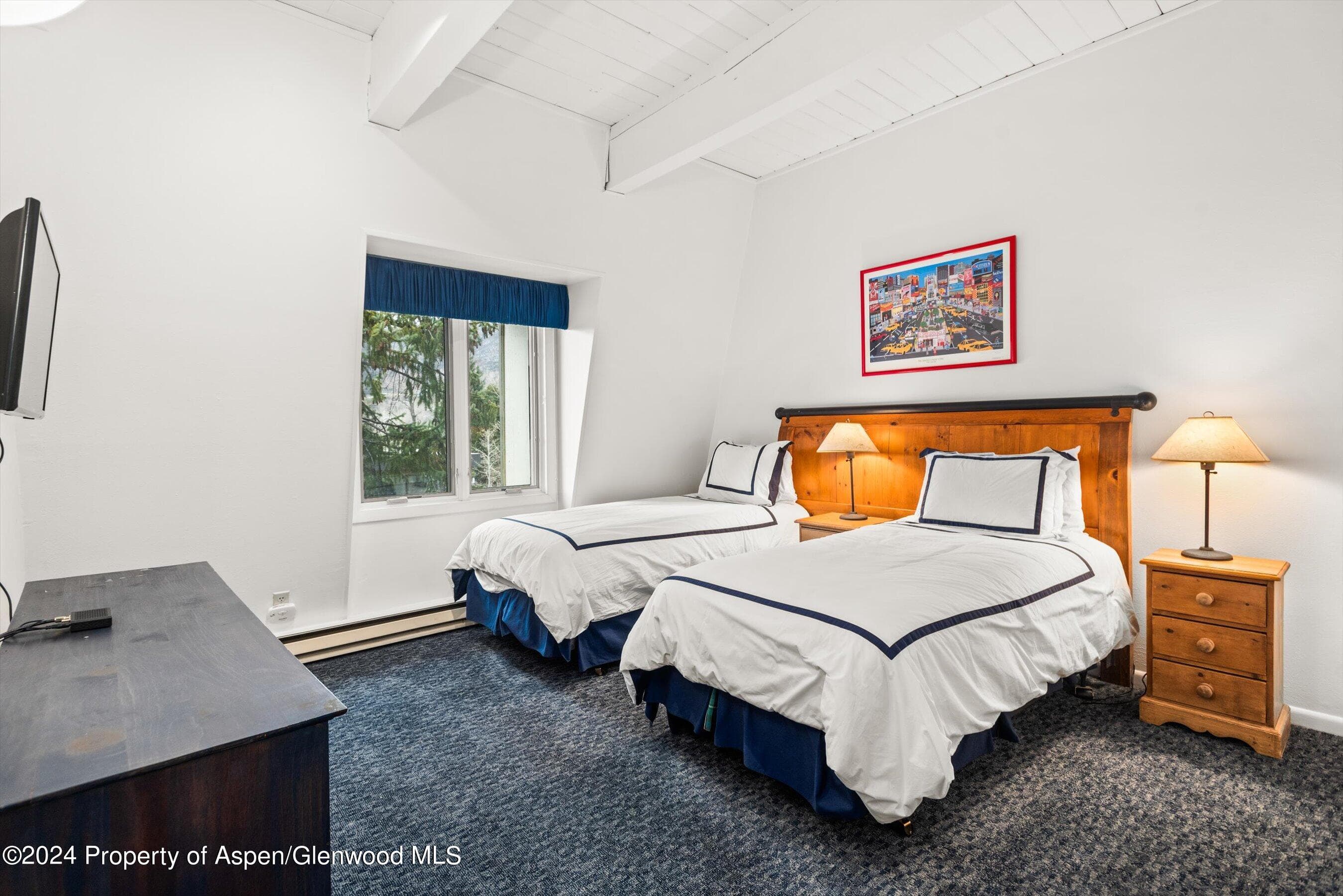 731 E Durant Avenue #18, Aspen, CO 81611 - Photo 13