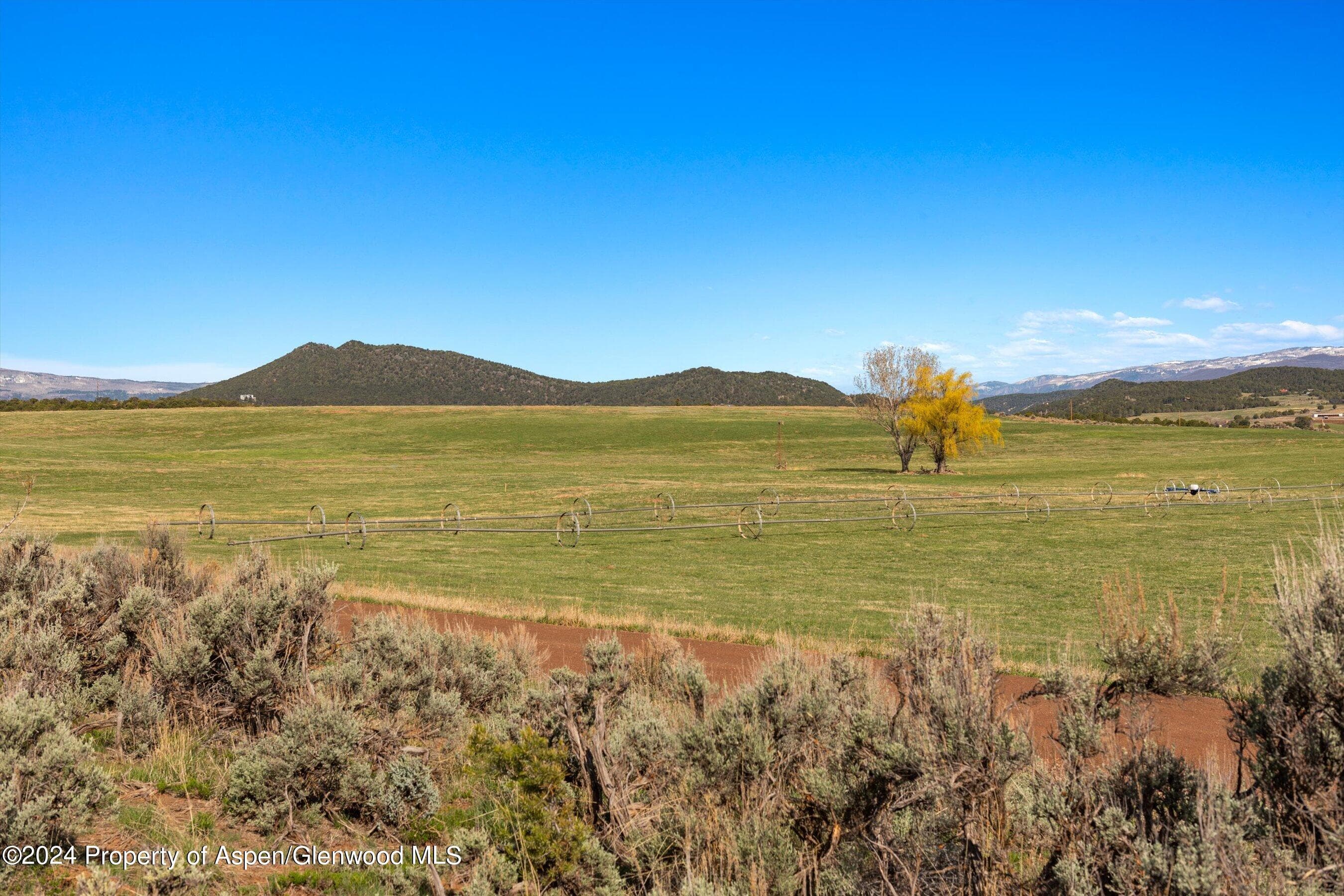 TBD County Road 100, Carbondale, CO 81623 - Photo 23