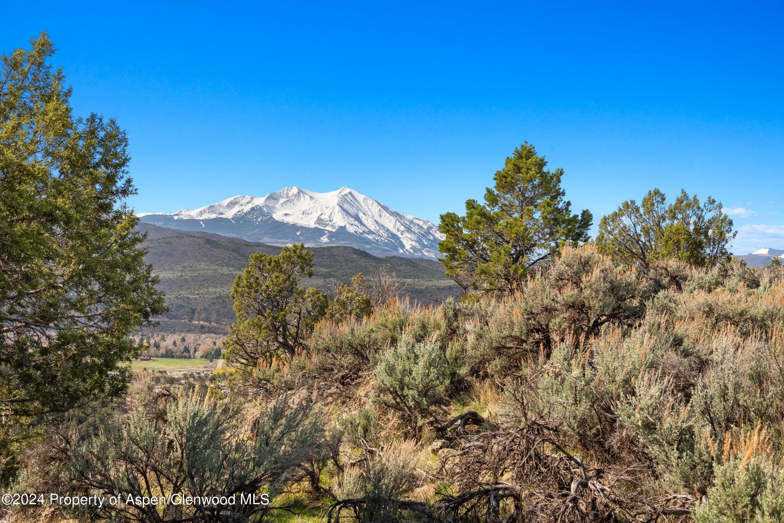 TBD County Road 100, Carbondale, CO 81623 - Photo 30