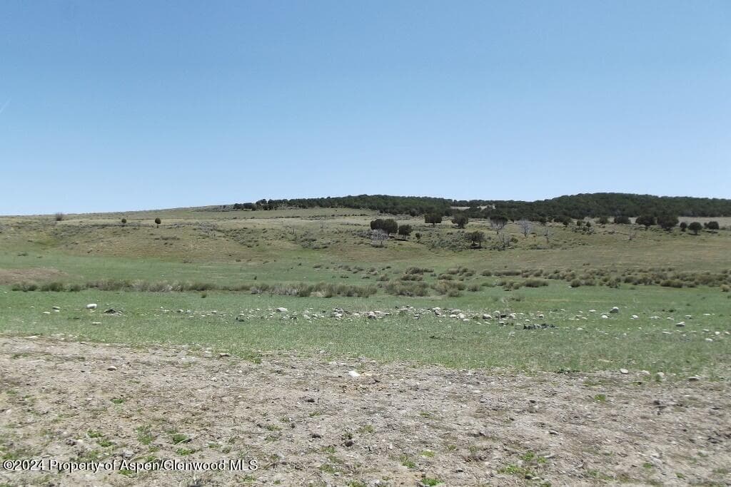 TBD County Road 15, Meeker, CO 81641 - Photo 7