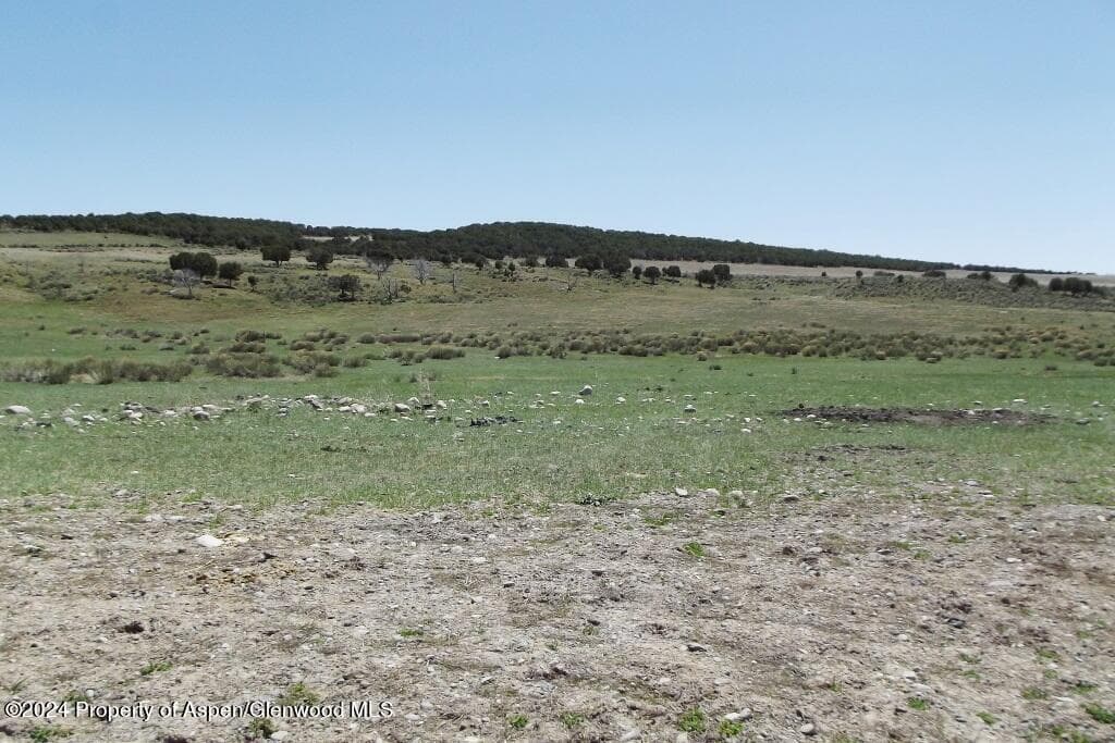 TBD County Road 15, Meeker, CO 81641 - Photo 8