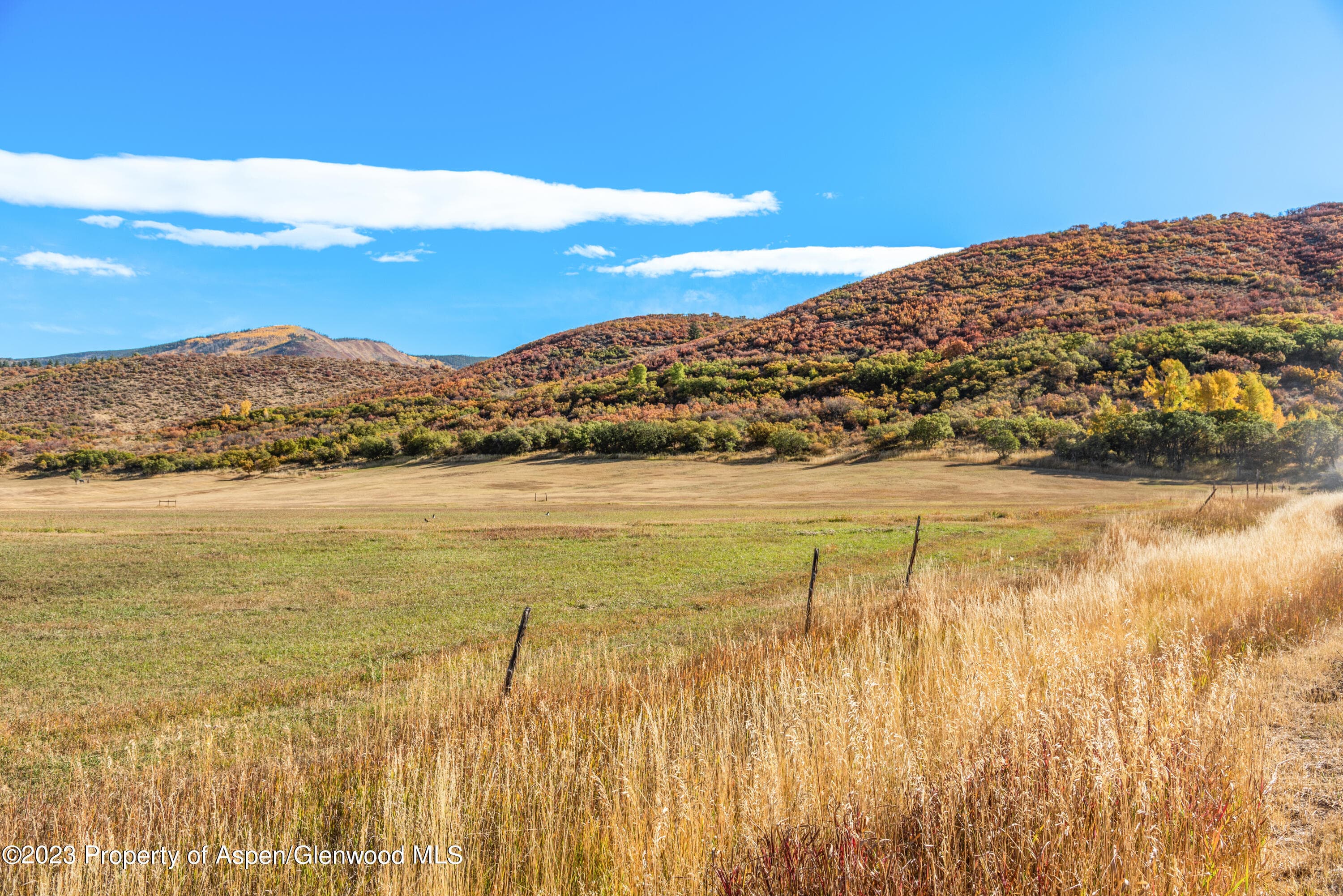 TBD McLain Flats Road, Aspen, CO 81611 - Photo 6