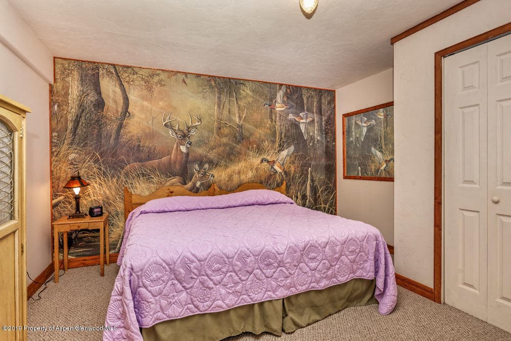 222 Crest Point Drive, Carbondale, CO 81623 - Photo 24