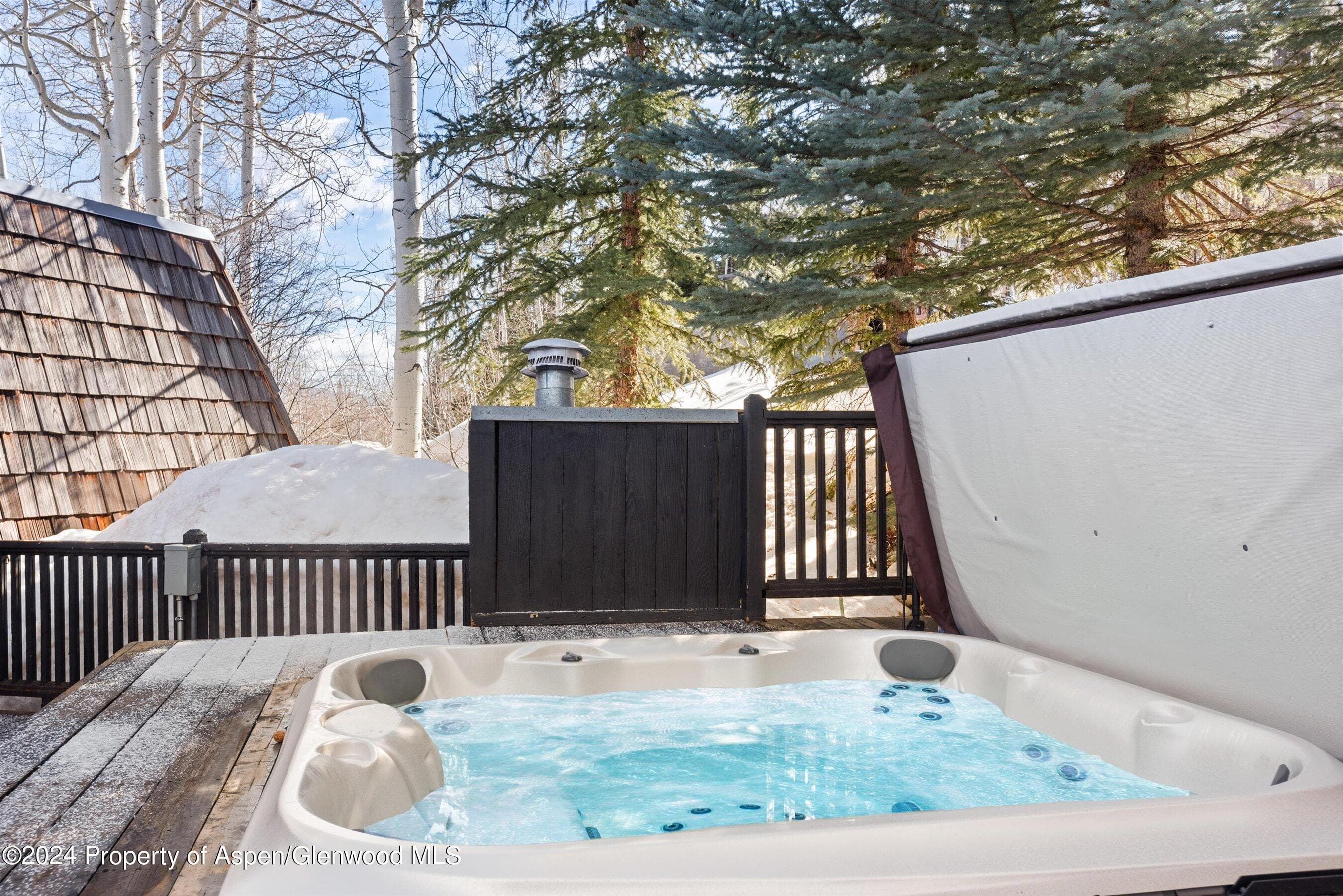 49 Elk Ridge Lane, Snowmass Village, CO 81615 - Photo 25