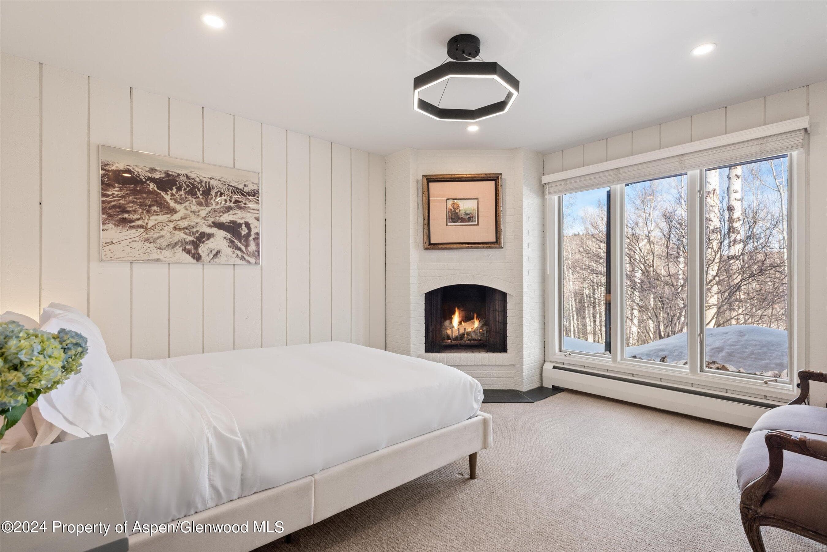 49 Elk Ridge Lane, Snowmass Village, CO 81615 - Photo 19