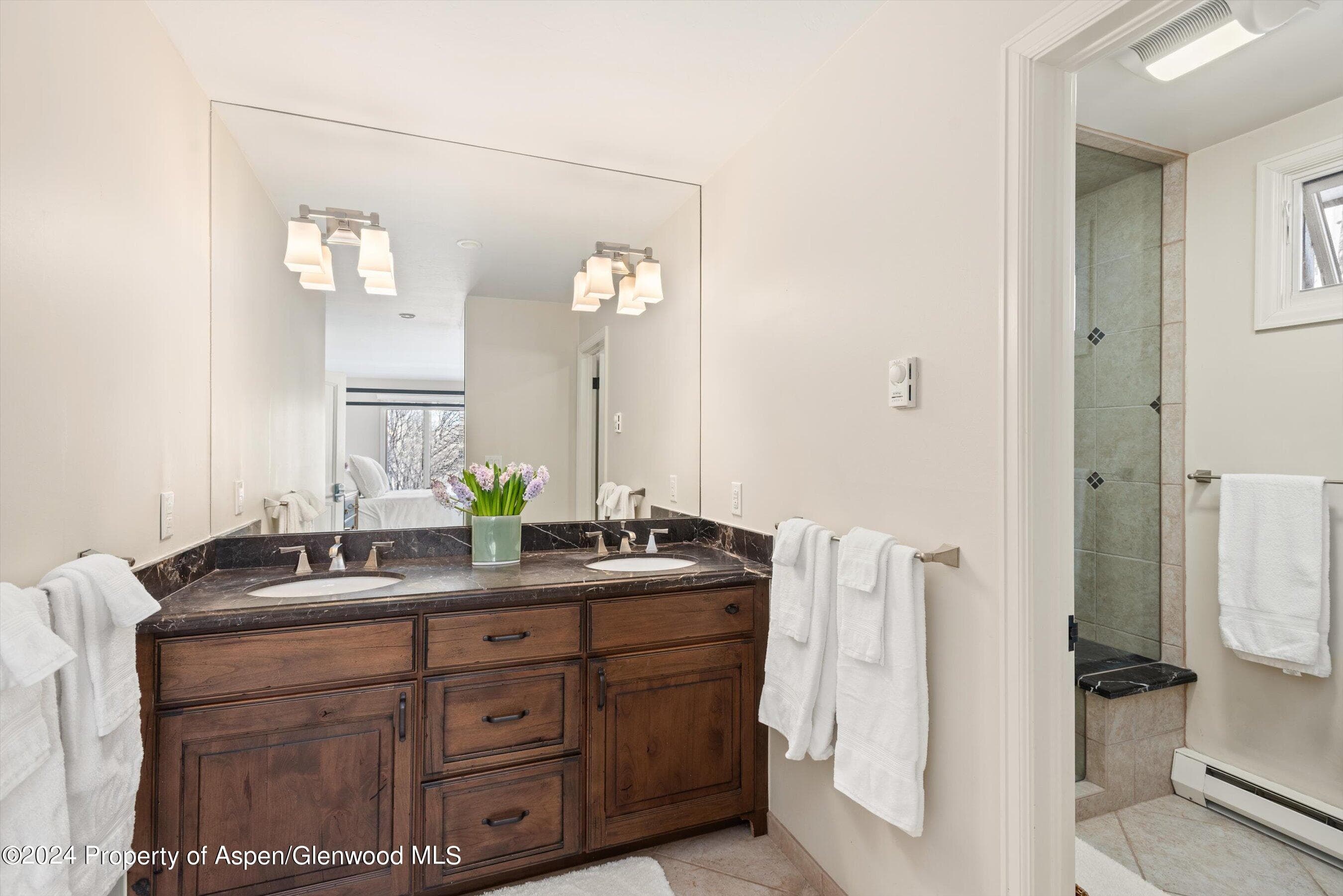 49 Elk Ridge Lane, Snowmass Village, CO 81615 - Photo 18