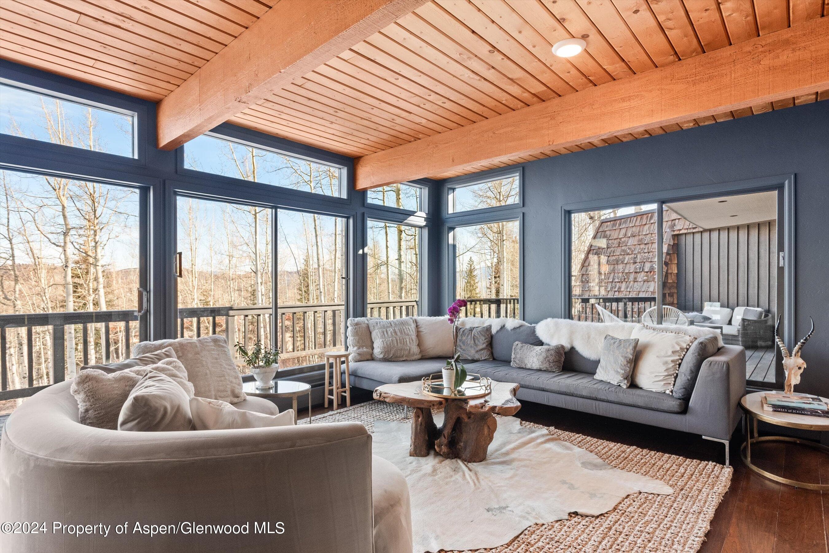 49 Elk Ridge Lane, Snowmass Village, CO 81615 - Photo 2