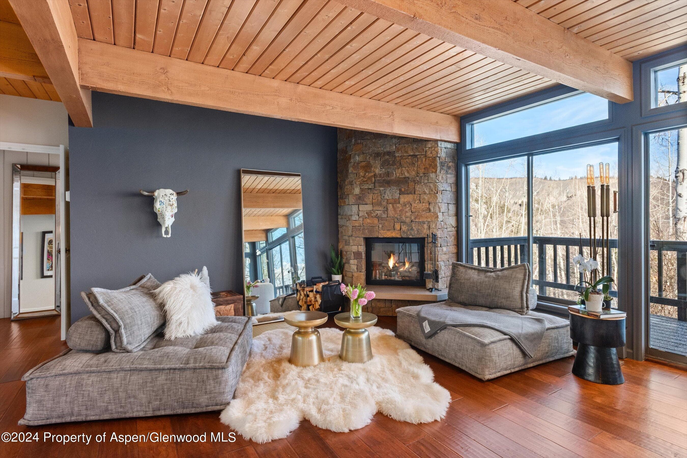 49 Elk Ridge Lane, Snowmass Village, CO 81615 - Photo 3
