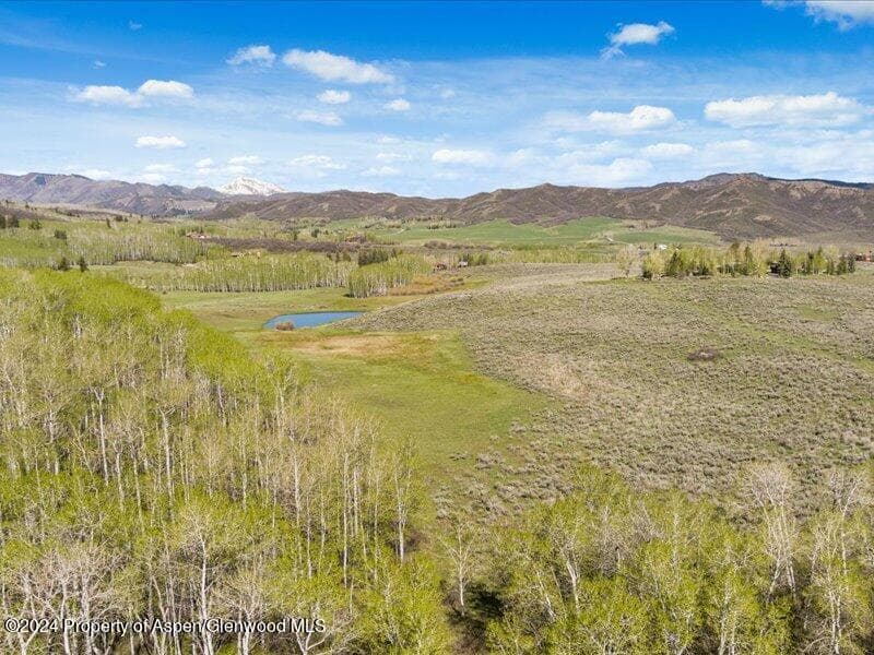 1333 W Buttermilk Road, Aspen, CO 81611 - Photo 9