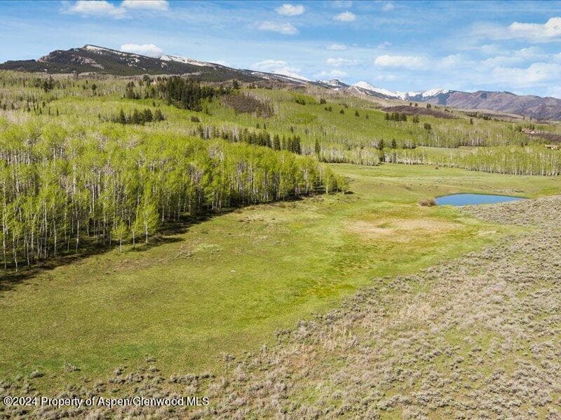 1333 W Buttermilk Road, Aspen, CO 81611 - Photo 10