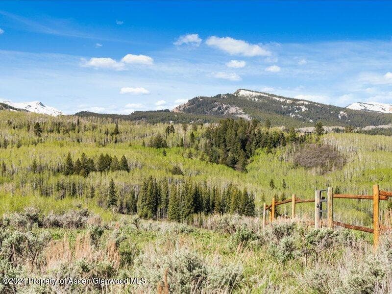 1333 W Buttermilk Road, Aspen, CO 81611 - Photo 3