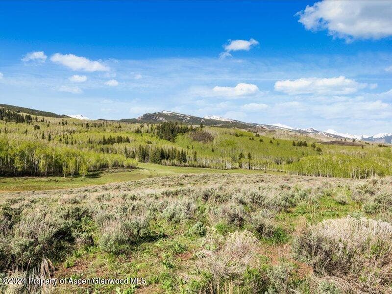 1333 W Buttermilk Road, Aspen, CO 81611 - Photo 2