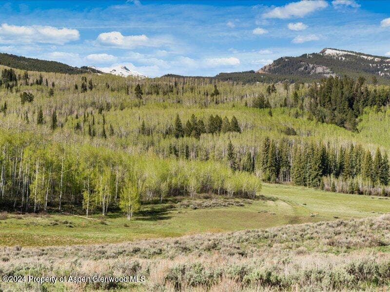 1333 W Buttermilk Road, Aspen, CO 81611 - Photo 18