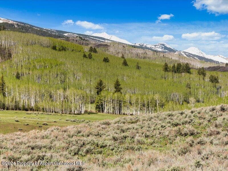 1333 W Buttermilk Road, Aspen, CO 81611 - Photo 19