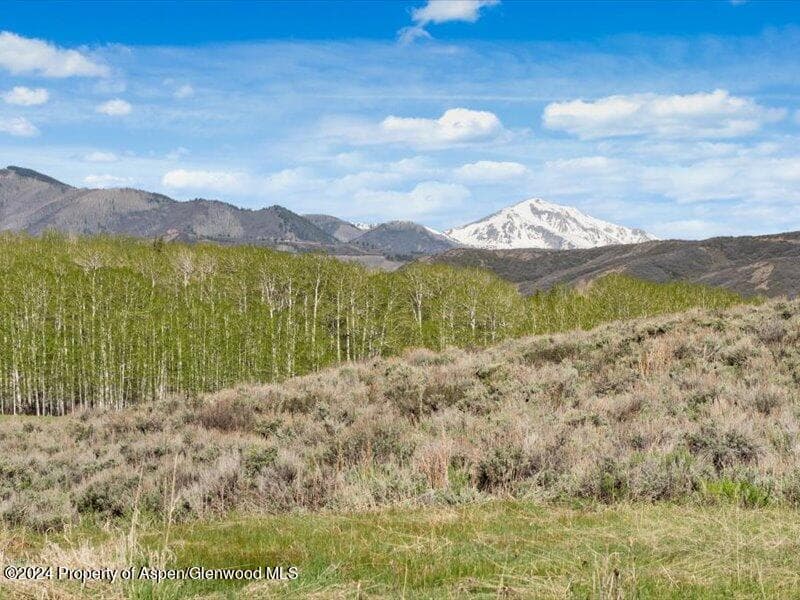 1333 W Buttermilk Road, Aspen, CO 81611 - Photo 20