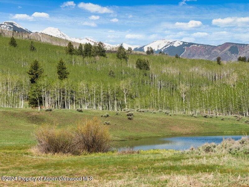 1333 W Buttermilk Road, Aspen, CO 81611 - Photo 21