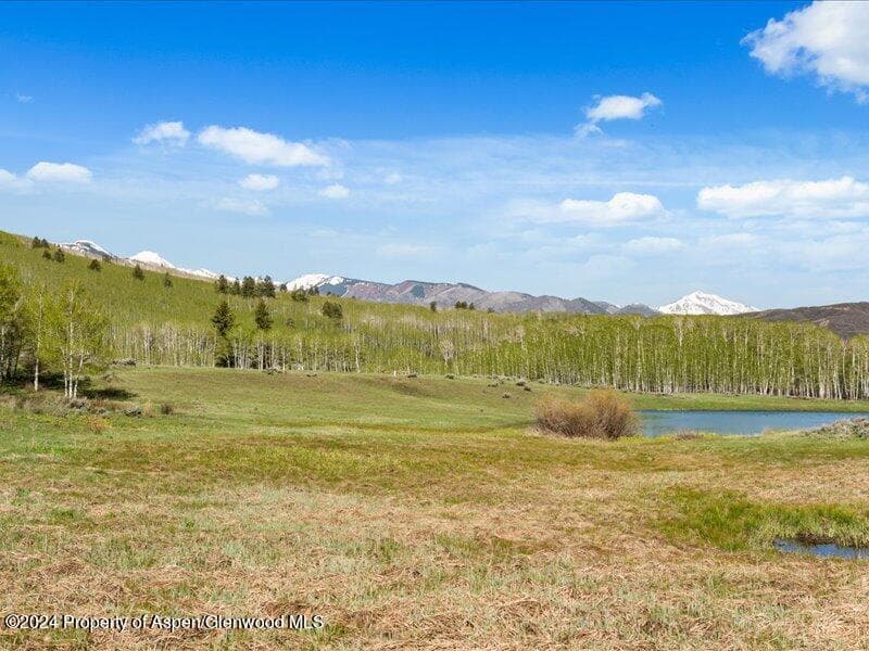 1333 W Buttermilk Road, Aspen, CO 81611 - Photo 23