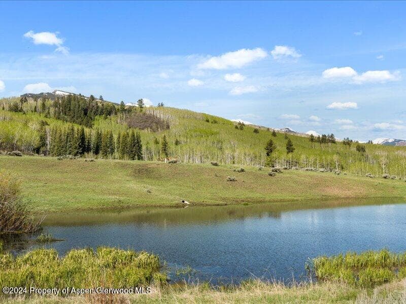 1333 W Buttermilk Road, Aspen, CO 81611 - Photo 24