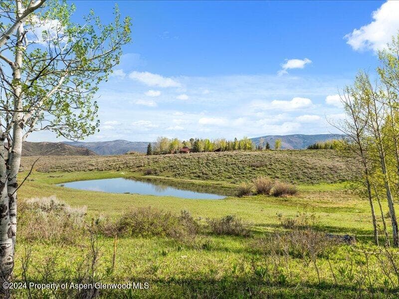 1333 W Buttermilk Road, Aspen, CO 81611 - Photo 26