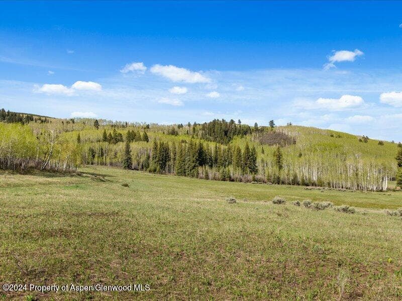 1333 W Buttermilk Road, Aspen, CO 81611 - Photo 6