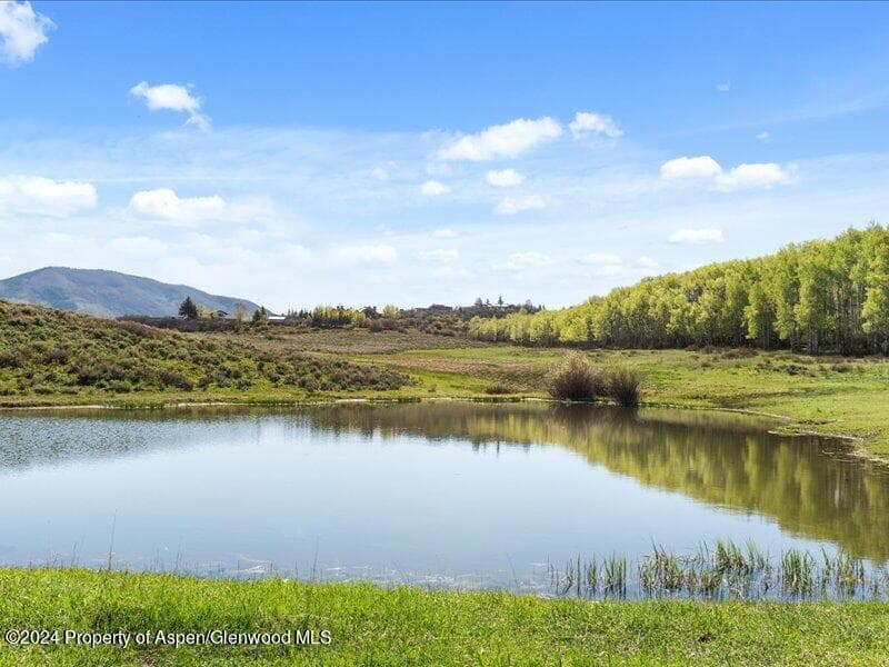 1333 W Buttermilk Road, Aspen, CO 81611 - Photo 5
