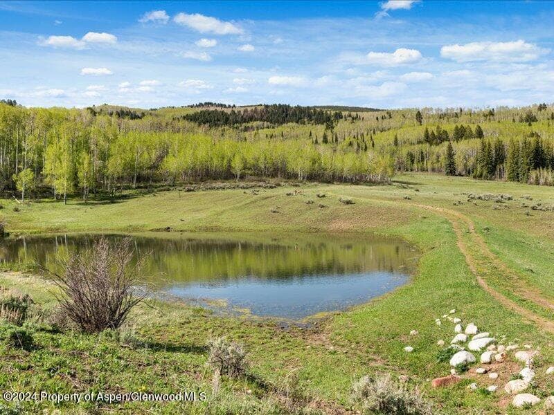 1333 W Buttermilk Road, Aspen, CO 81611 - Photo 8