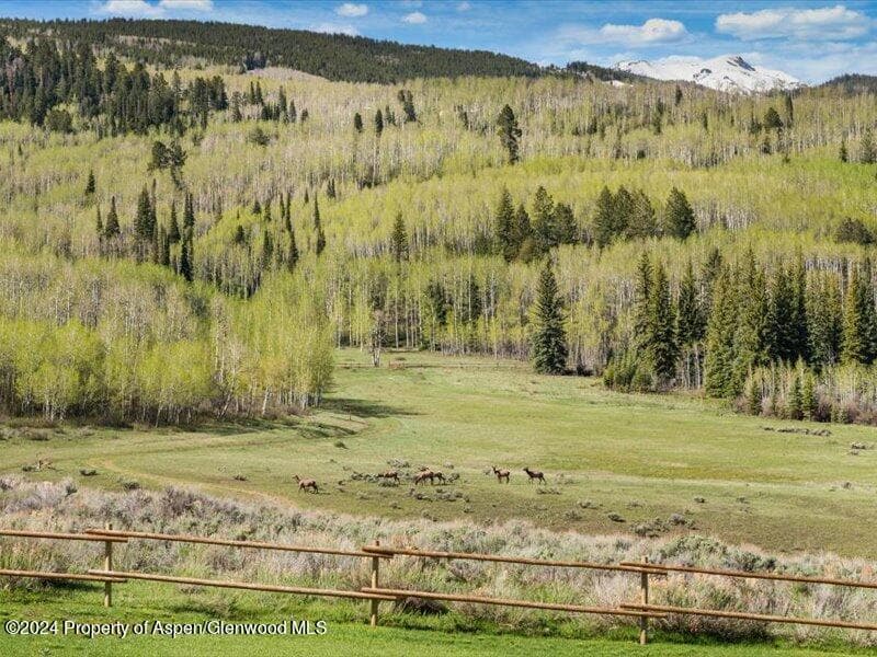 1333 W Buttermilk Road, Aspen, CO 81611 - Photo 7