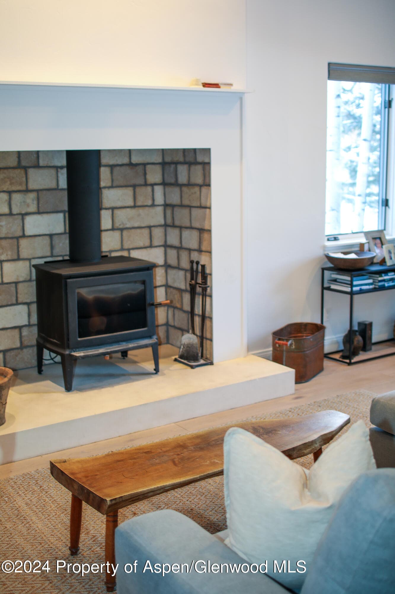 364 Summerset Lane, Basalt, CO 81621 - Photo 9