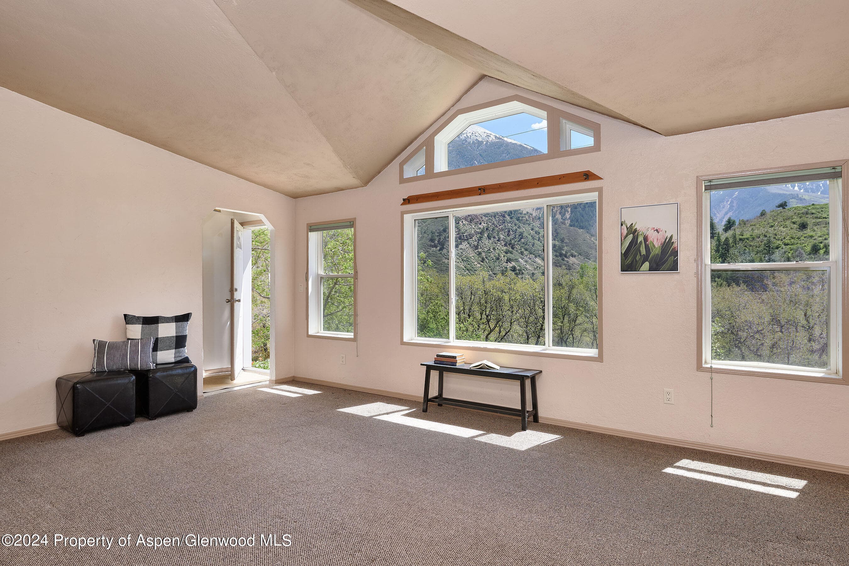 8 Arapahoe Lane, Carbondale, CO 81623 - Photo 10