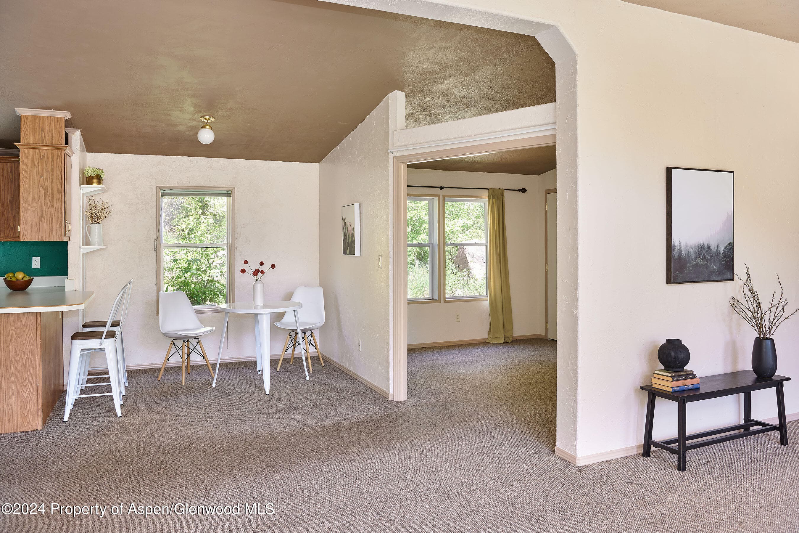 8 Arapahoe Lane, Carbondale, CO 81623 - Photo 11