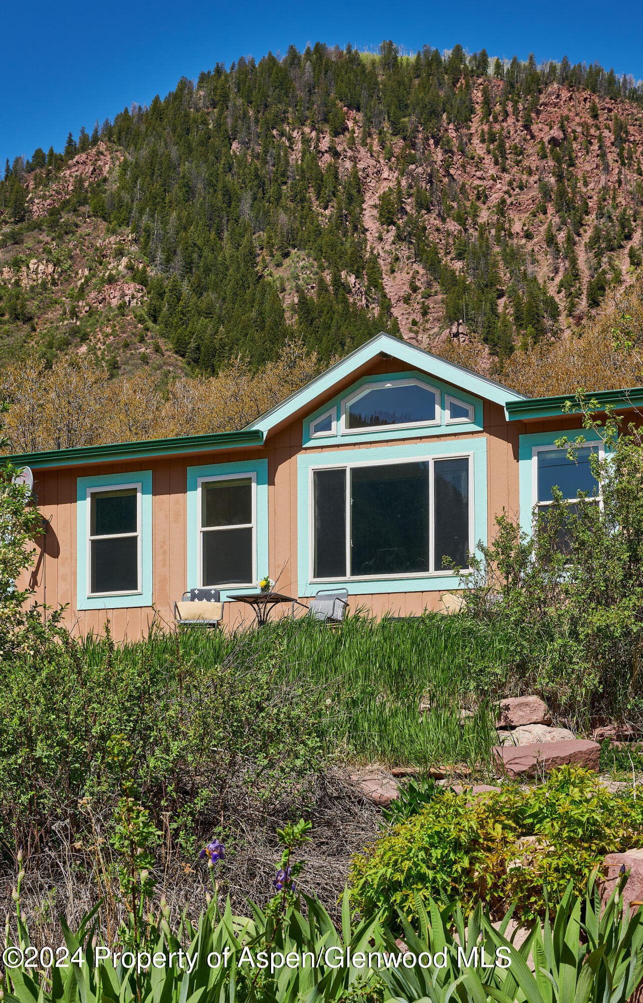 8 Arapahoe Lane, Carbondale, CO 81623 - Photo 19
