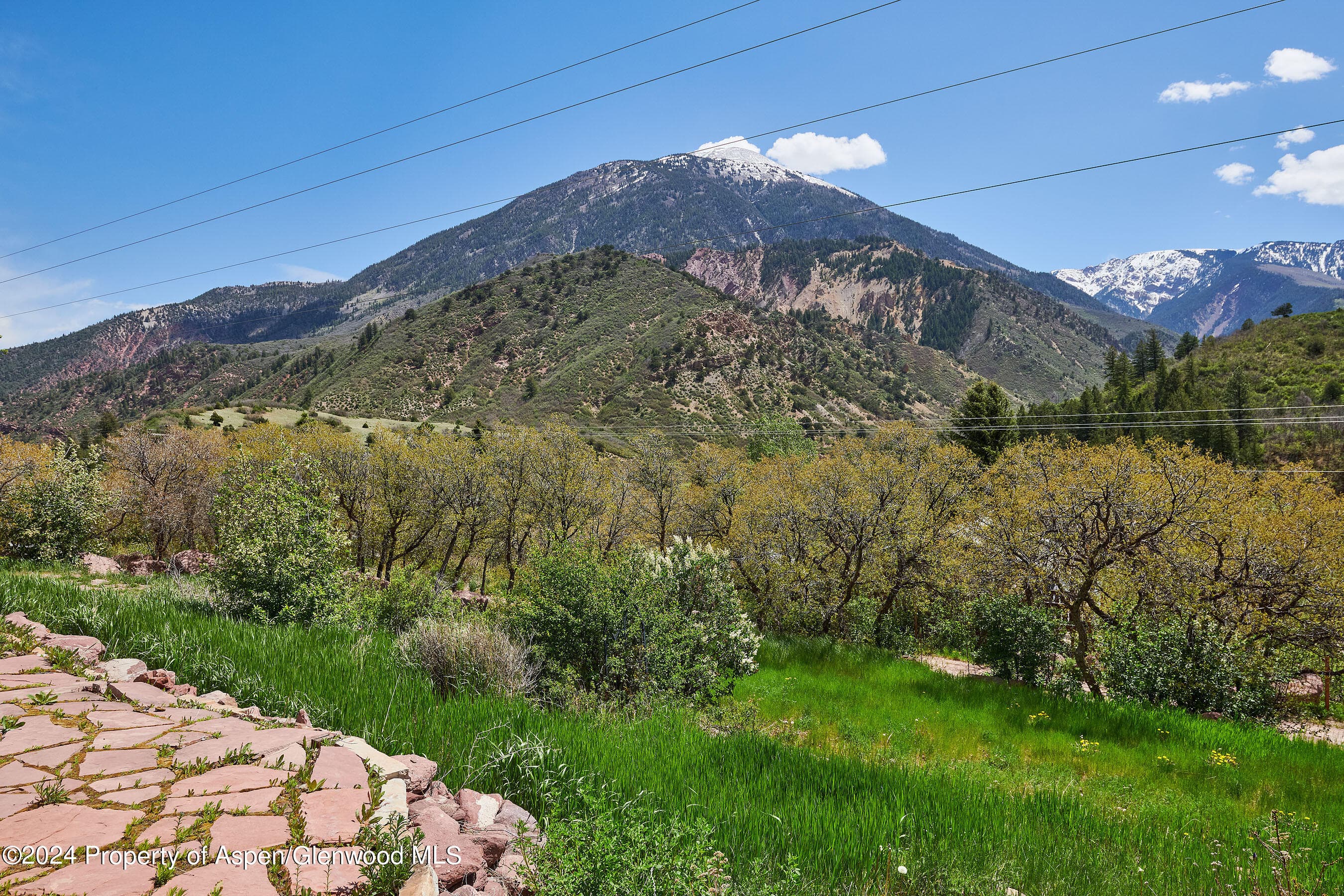 8 Arapahoe Lane, Carbondale, CO 81623 - Photo 9