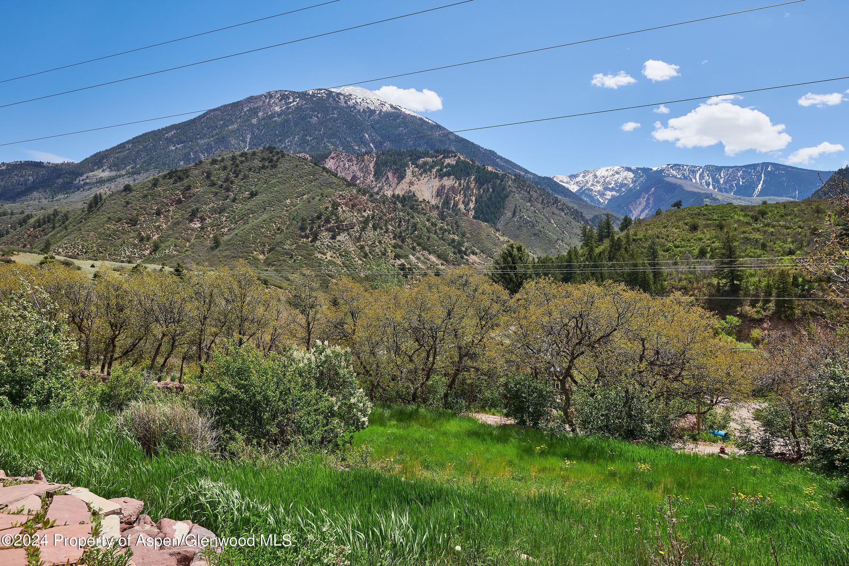 8 Arapahoe Lane, Carbondale, CO 81623 - Photo 8