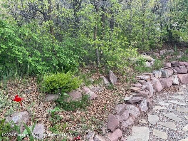 8 Arapahoe Lane, Carbondale, CO 81623 - Photo 7