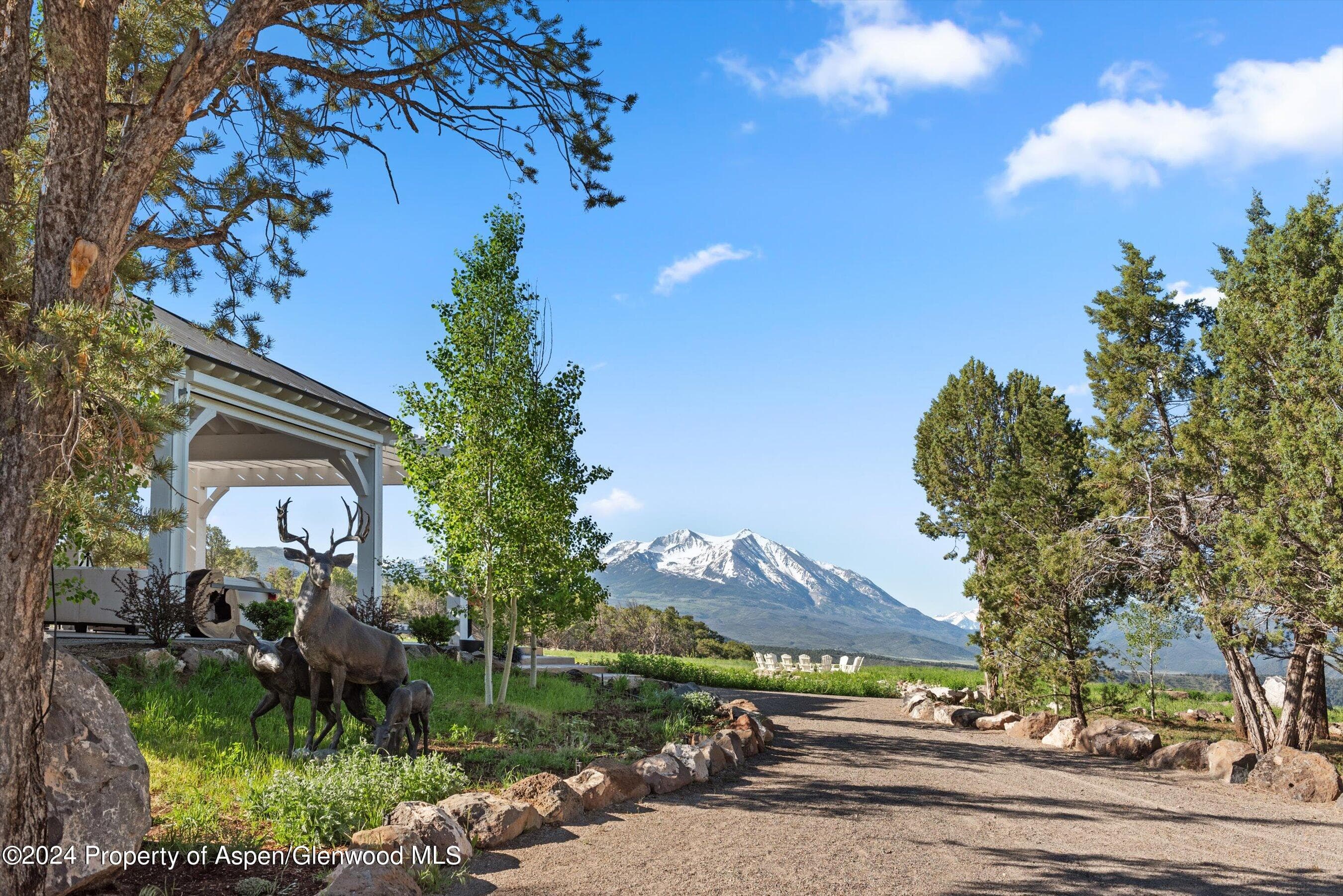 5349 County Road 100, Carbondale, CO 81623 - Photo 2