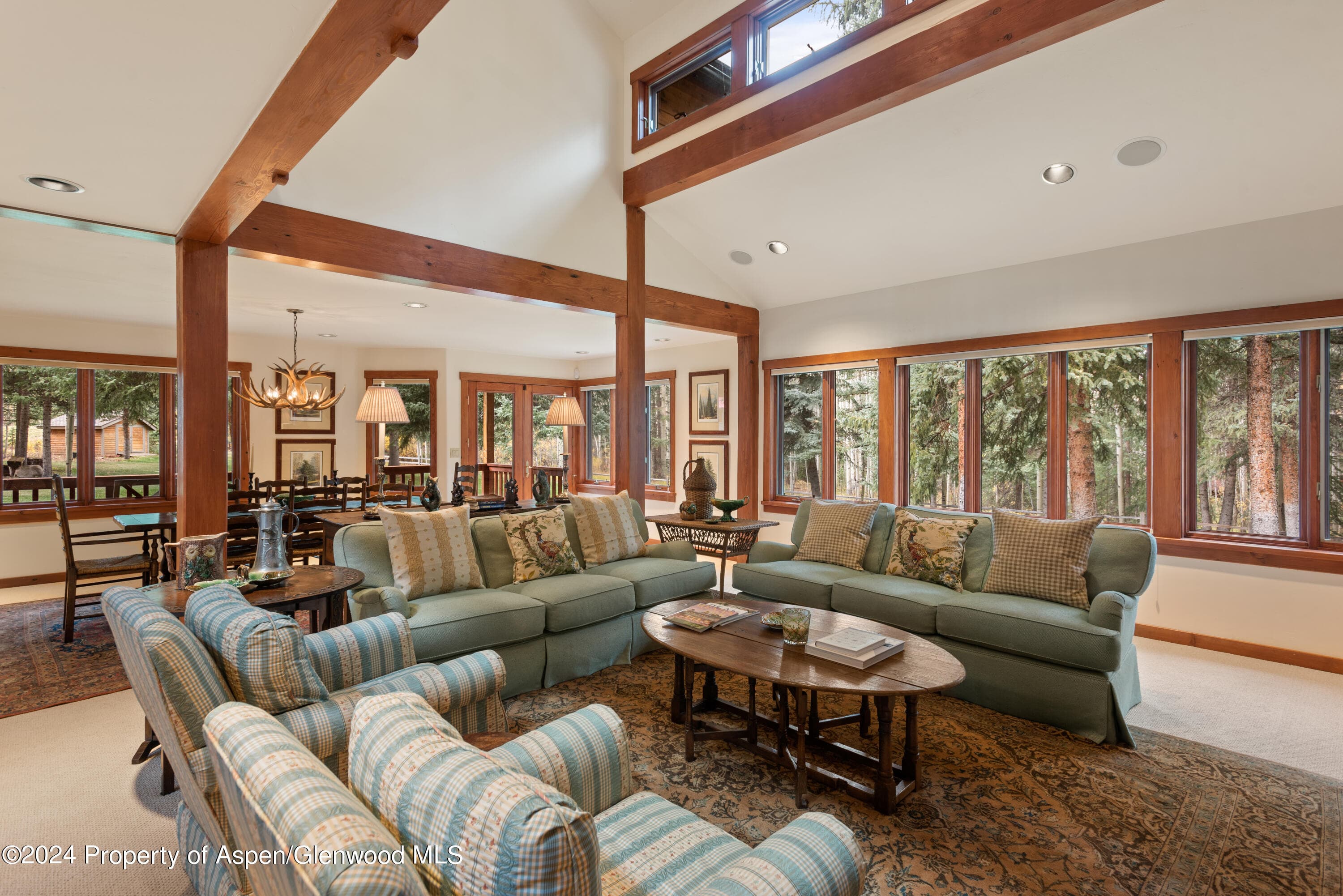 9676 Castle Creek Road, Aspen, CO 81611 - Photo 9