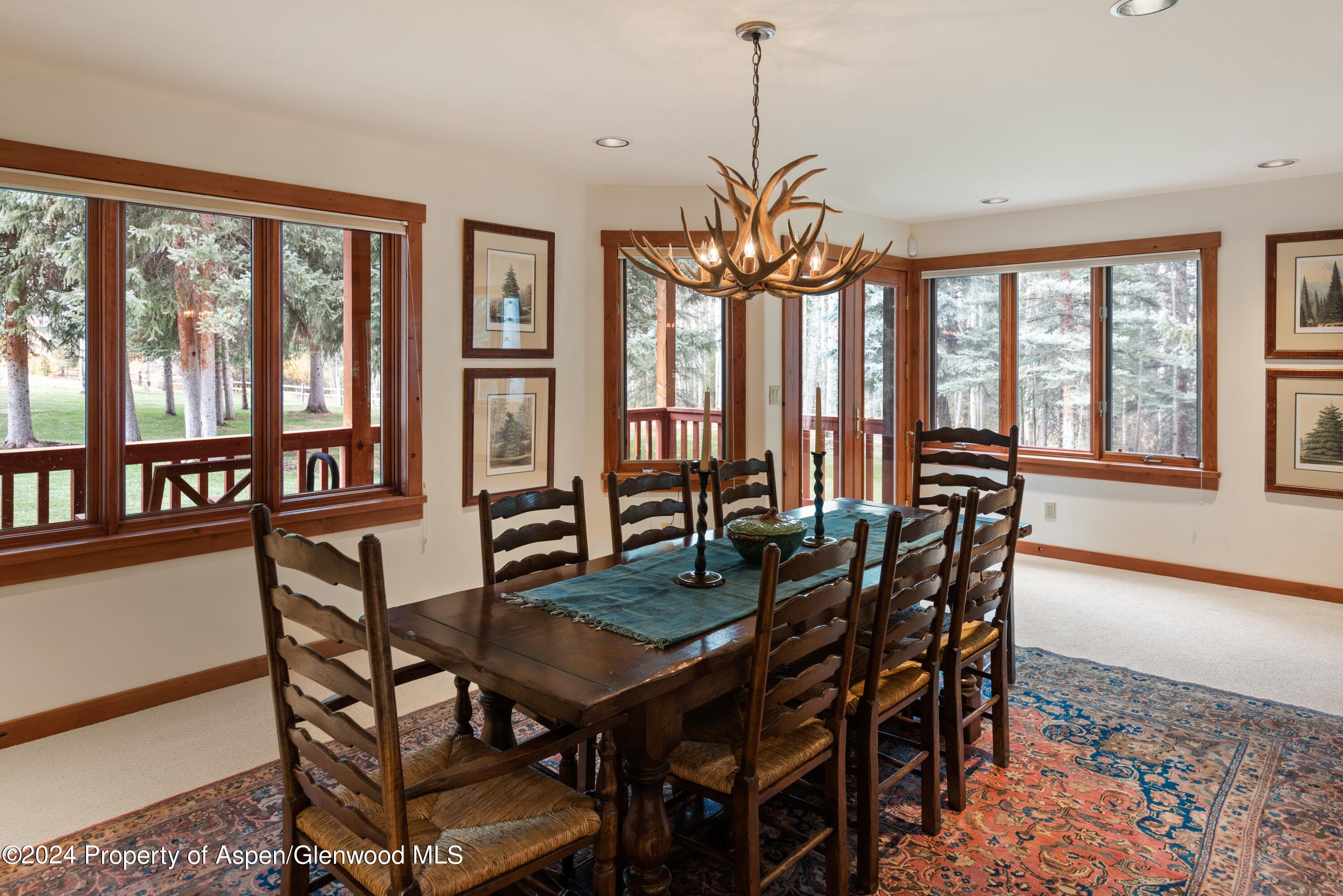 9676 Castle Creek Road, Aspen, CO 81611 - Photo 12