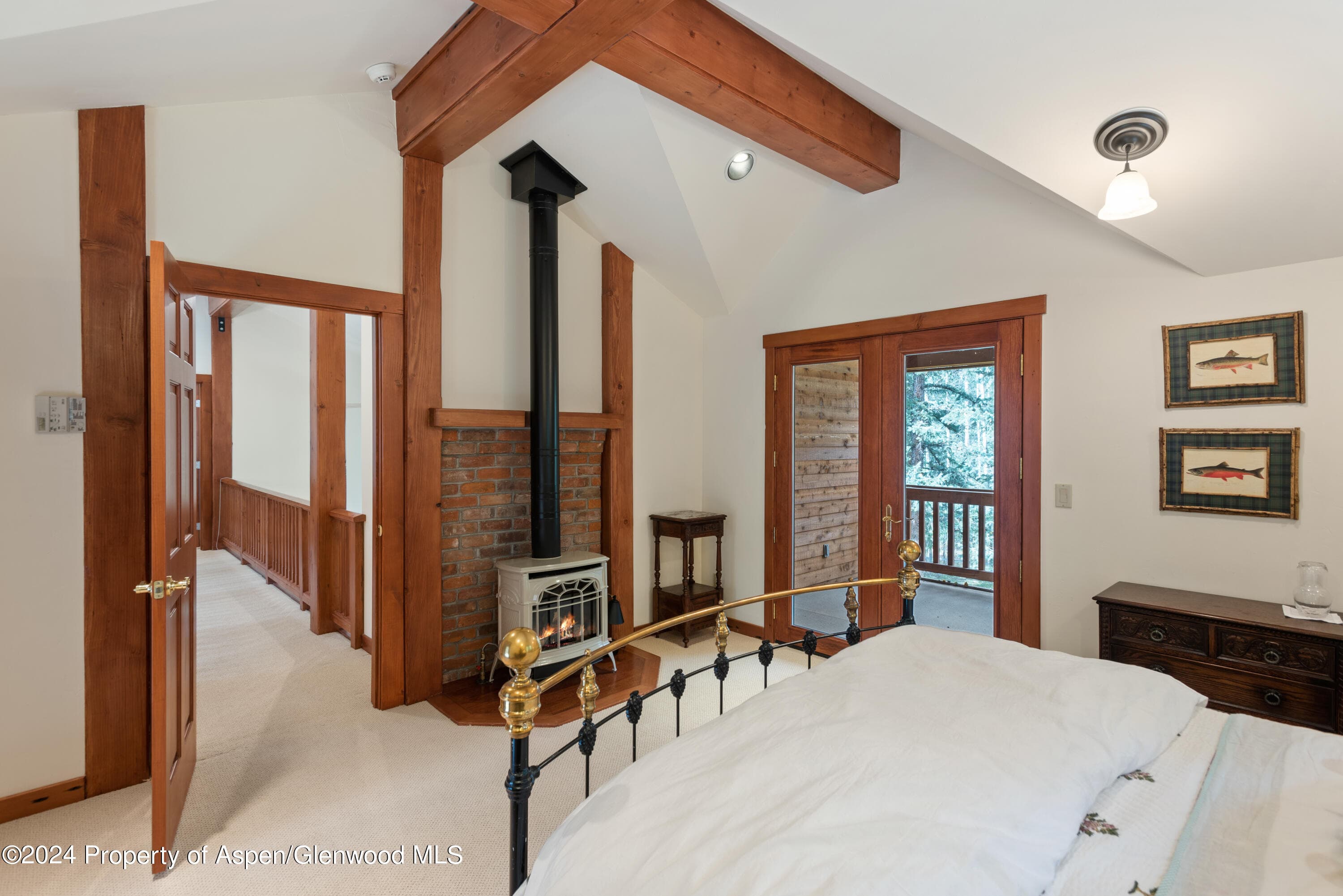 9676 Castle Creek Road, Aspen, CO 81611 - Photo 20