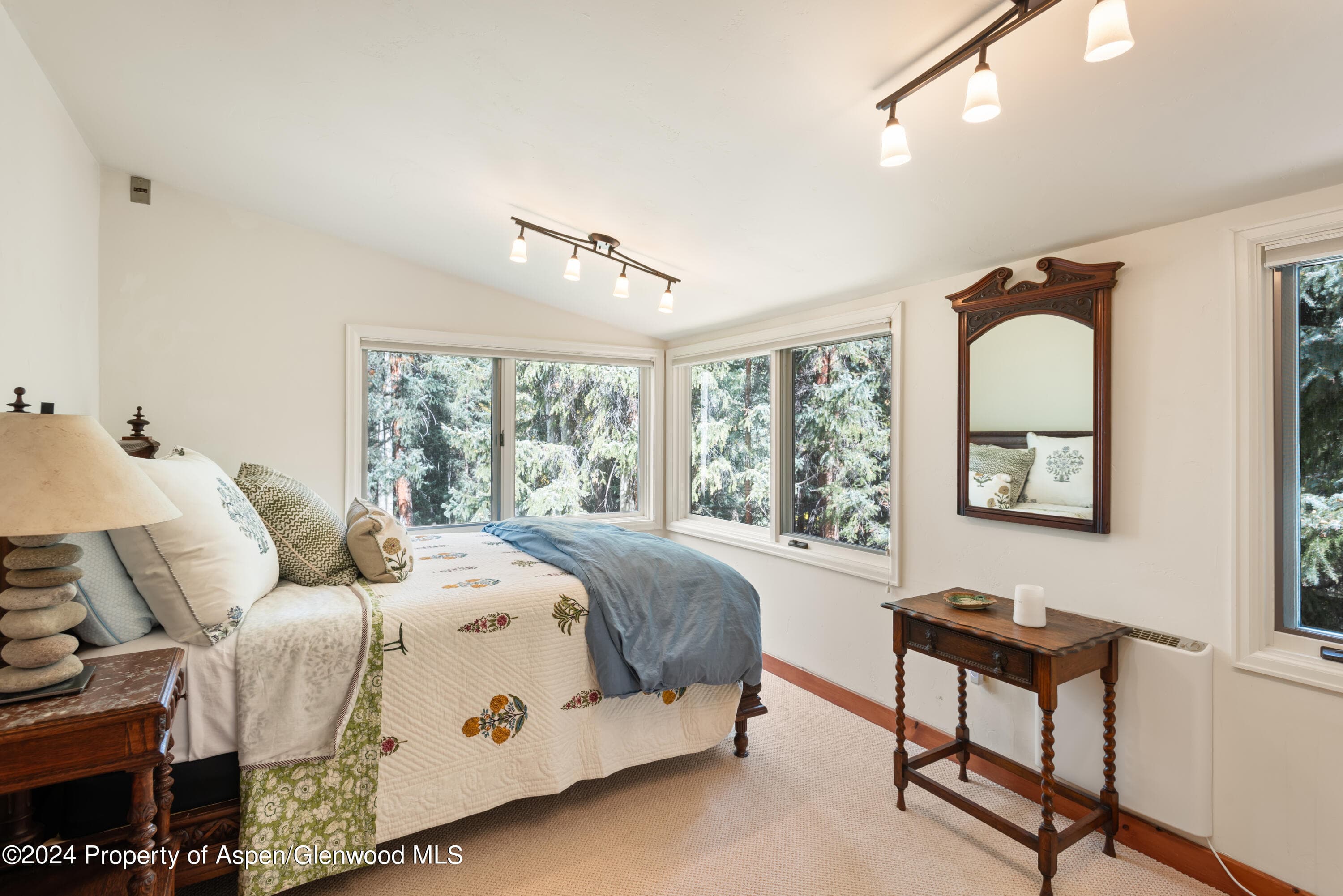 9676 Castle Creek Road, Aspen, CO 81611 - Photo 21
