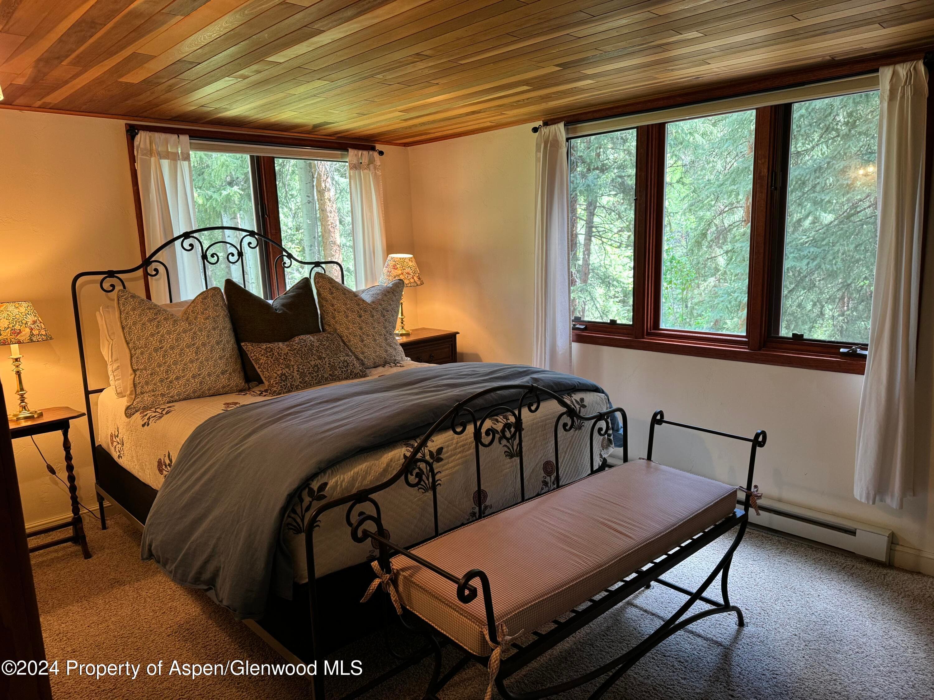 9676 Castle Creek Road, Aspen, CO 81611 - Photo 23