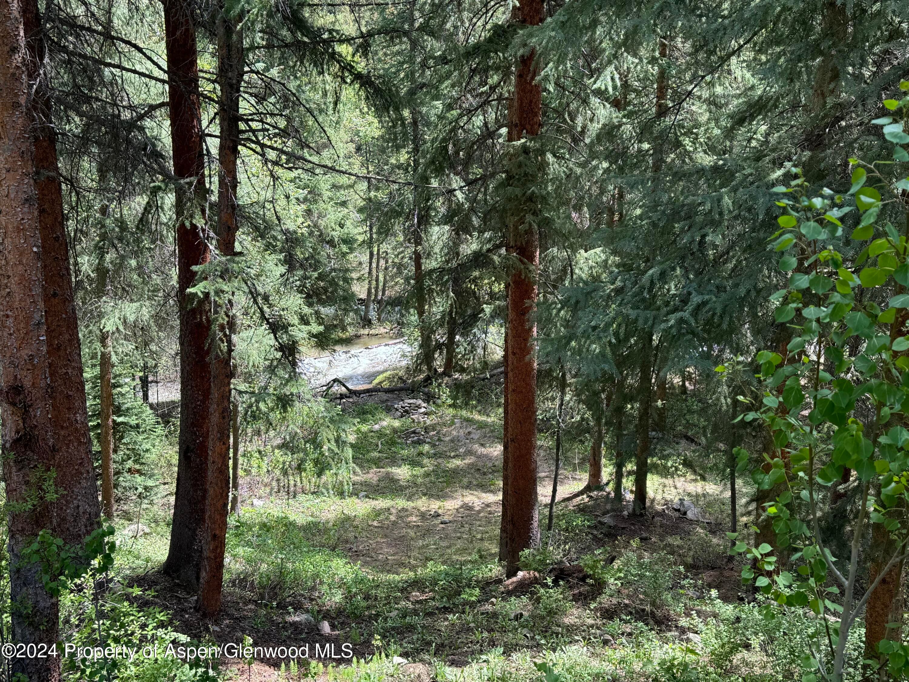 9676 Castle Creek Road, Aspen, CO 81611 - Photo 24