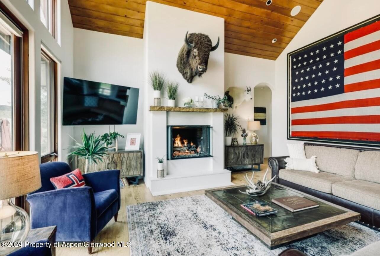 1434 Hooks Spur Road, Basalt, CO 81621 - Photo 3