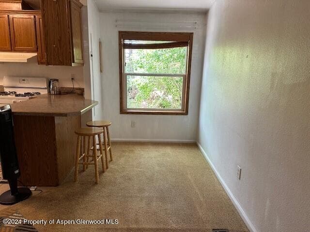 120 Lava Hill, Carbondale, CO 81623 - Photo 11