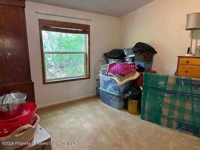 120 Lava Hill, Carbondale, CO 81623 - Photo 13