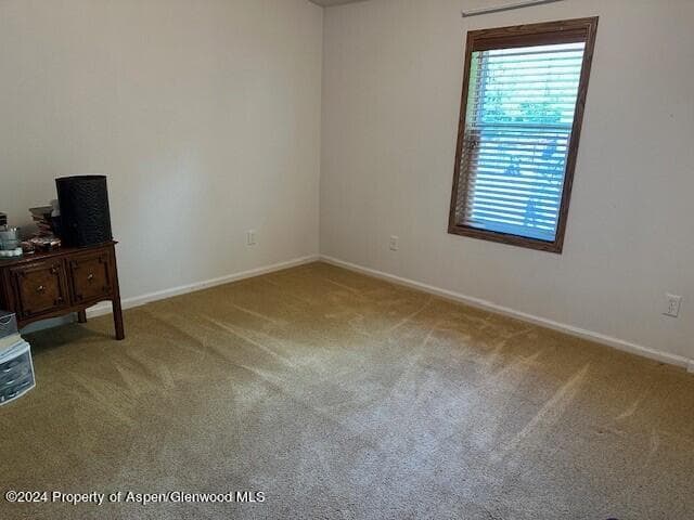 120 Lava Hill, Carbondale, CO 81623 - Photo 15